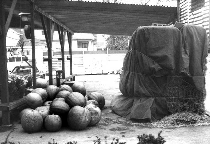 I took this photo in October of 1977.  I was only 17.  I was shooting on 35mm Black &amp; White with an old 1950s vintage Leicha.