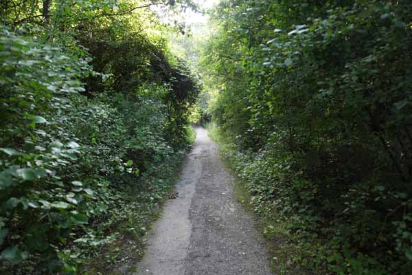 This creepy little path was once a two lane highway, and part of the Midlothian Turnpike. It was closed down because drag racers frequented this stretchof road, and ofteh were involved in wrecks. Stories of ghost cars abound about this old road.