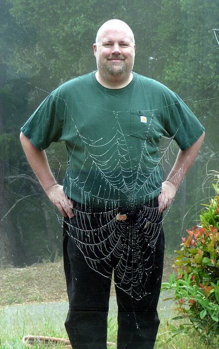 Spiderweb 2.JPG