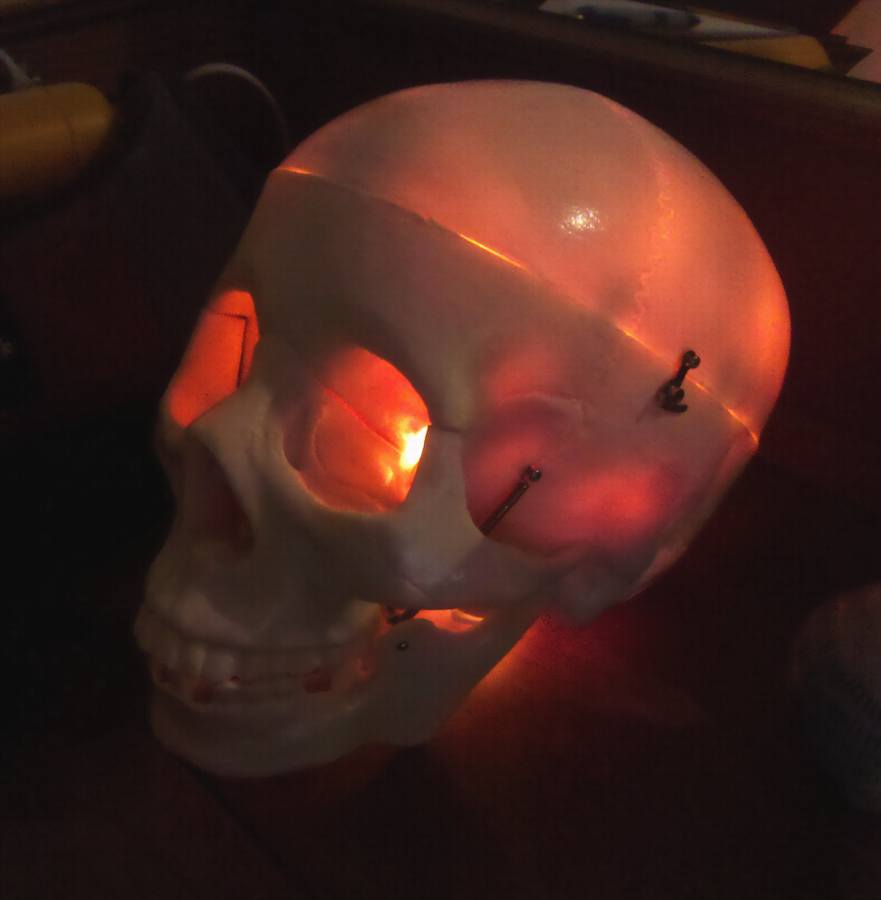 Yorick Lamp.JPG