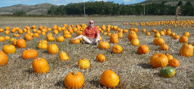 Andy In The pumpkin Patch 10-6-2012 edit2-picsay.jpg