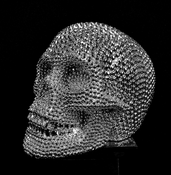 Chrome Skull edit.JPG